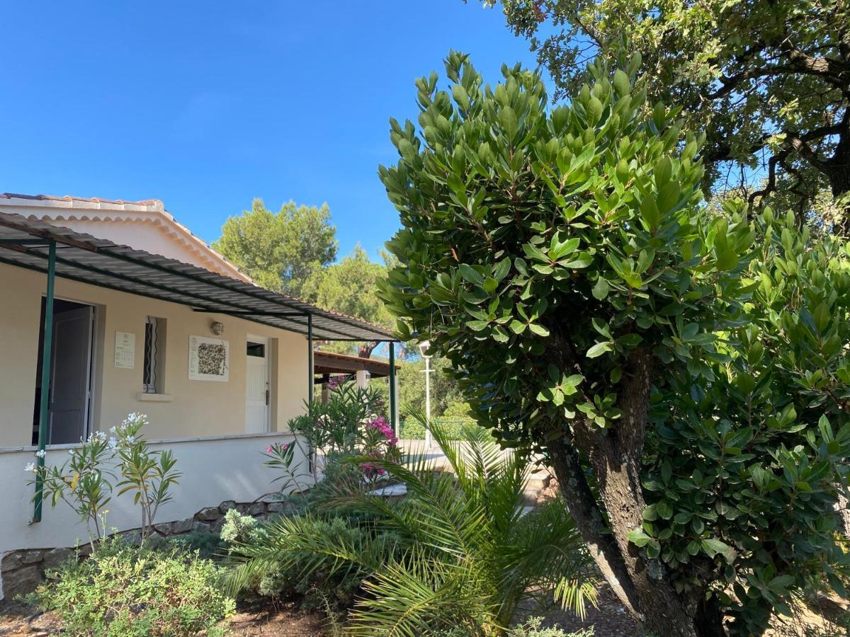 Camping Ladouceur Ramatuelle Exterior photo